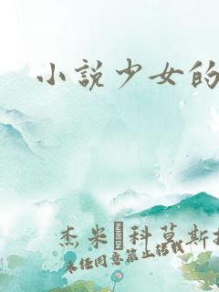 小说少女的心