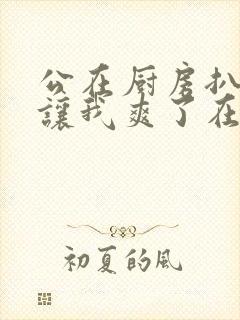 公在厨房扒开腿让我爽了在线观看