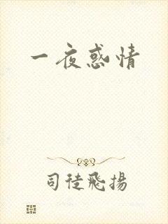 一夜惑情