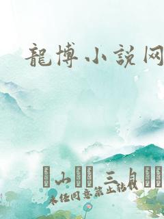 龙博小说网