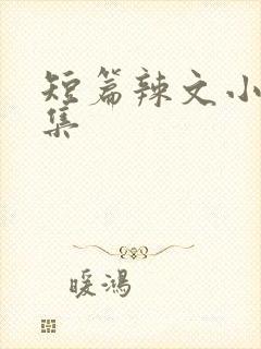 短篇辣文小说合集