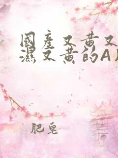 国产又黄又硬又湿又黄的A片小说