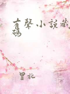 有声小说藏地密码