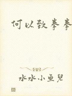 何以致拳拳番外