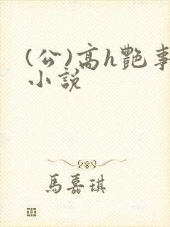 (公)高h艳事小说