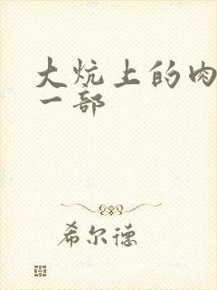 大炕上的肉伦第一部