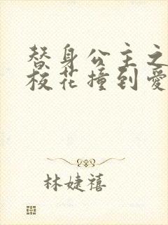 替身公主之杀手校花撞到爱