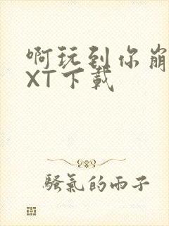 啊玩到你崩溃TXT下载