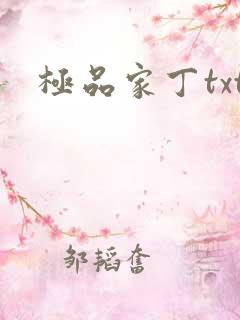 极品家丁txt