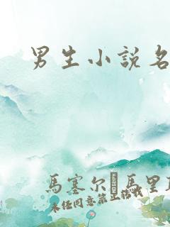 男生小说名字
