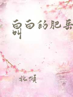 白白的肥岳嗷嗷叫