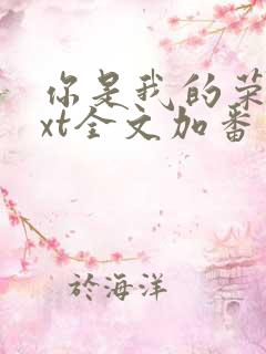 你是我的荣耀txt全文加番外