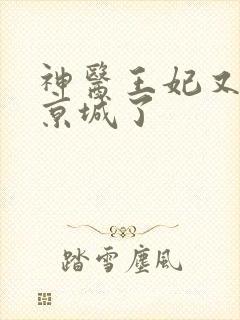 神医王妃又轰动京城了