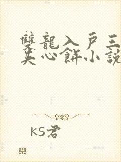 双龙入户三人行夹心饼小说