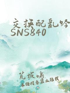 交换配乱吟粗大SNS840