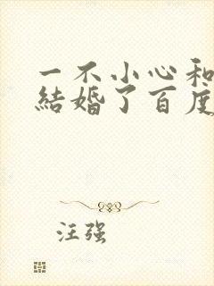一不小心和醋精结婚了百度云