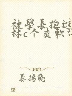 被学长抱进小树林c个爽软件