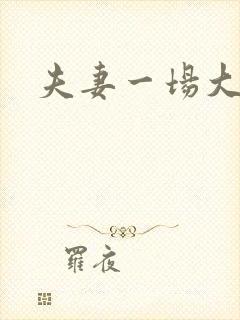 夫妻一场大结局