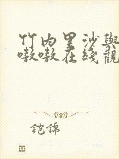 竹内里沙与黑人嗷嗷在线观看