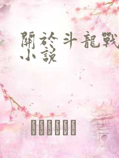 关于斗龙战士的小说