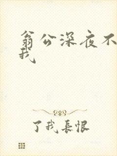 翁公深夜不停要我