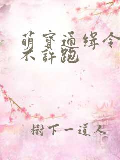 萌宝通缉令妈味不许跑