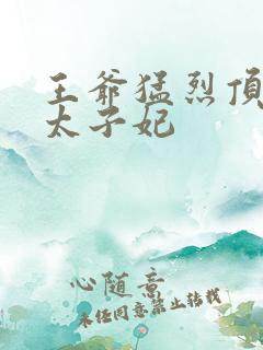 王爷猛烈顶弄H太子妃