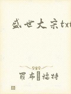 盛世大宋txt