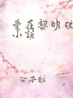 爱在黎明破晓前小说