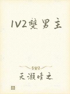1V2双男主