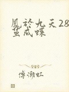 凤于九天28破茧成蝶
