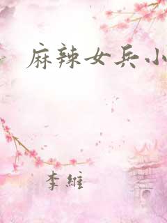 麻辣女兵小说版