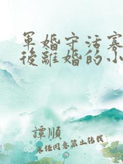 军婚守活寡重生后离婚的小说