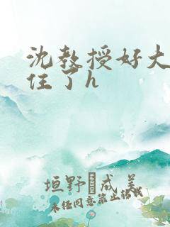 沈教授好大含不住了h