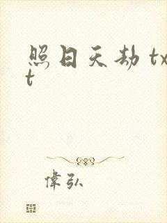 照日天劫 txt