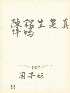 陈铭生是真实事件吗