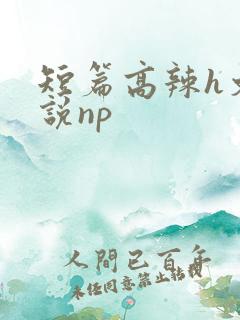 短篇高辣h文小说np
