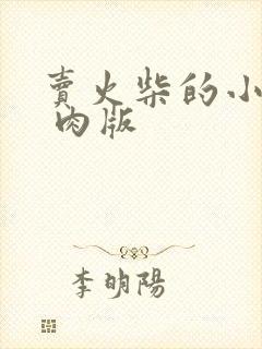 卖火柴的小男孩 肉版