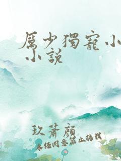 厉少独宠小娇妻 小说