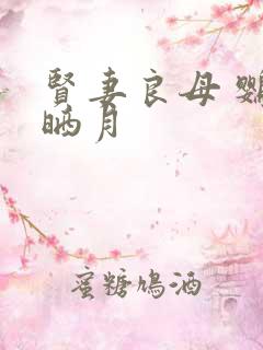 贤妻良母 鹦鹉晒月