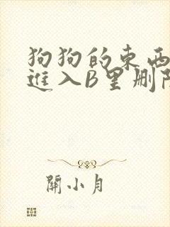 狗狗的东西直接进入B里删除