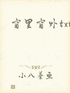 窗里窗外txt