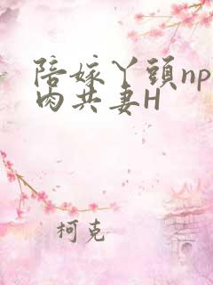 陪嫁丫头np全肉共妻H