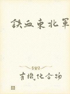 铁血东北军