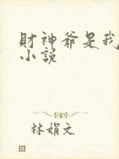 财神爷是我老板小说