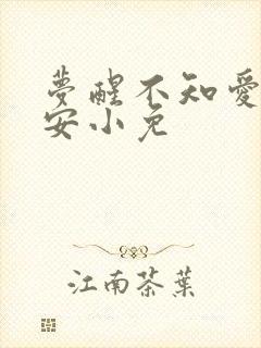 梦醒不知爱欢凉安小免