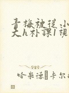 青梅被从小摸到大h补课1视频