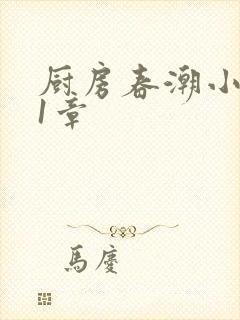 厨房春潮小说第1章