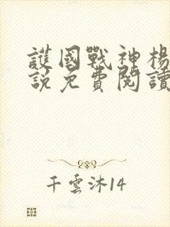 护国战神杨风小说免费阅读