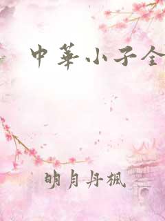 中华小子全集